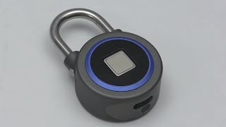 ?НАВЕСНОЙ БИОМЕТРИЧЕСКИЙ ЗАМОК?