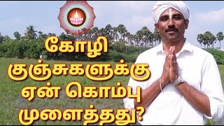 இன்றைய நிகழ்வை அன்றே சொன்ன அய்யா #02/Entaiya nikalvai antae sonna ayya/Ayyavazhi/IASF
