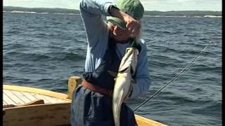 Sei og lyrfiske