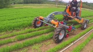 Terrateck - Binage Carotte avec tracteur porte outils Cultitrack