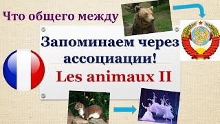 Урок#114: Учим животных по ассоциациям (II). Лексика. Французский язык