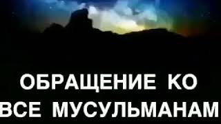 Обращение ко всем МУСУЛЬМАНАМ