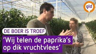 De boer is troef 18 mei 2016 - Paprikateler