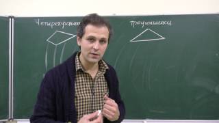 5 класс. Многоугольники