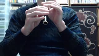 [Tin whistle] Spancil Hill (Irish Traditional)