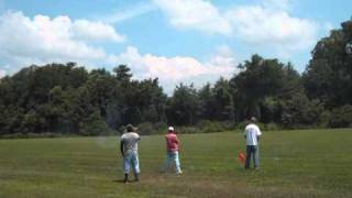 heli heads funfly 2010 t-rex 700