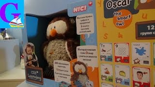 УЧИМ ЖИВОТНЫХ