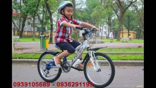 Xe đạp trẻ em Totem 226