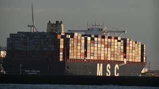 MSC Oscar & MOL Quartz [BIGGEST & BIGGER], 19224 teu & 13900 teu - 2015-03-03