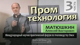 Промышленное пчеловодство ч3 Кочёвка промышленной пасеки Перевозка ульев Матюшкин Алексей Кемерово