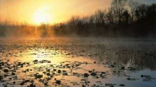Laidback Luke & Gregor Salto & Mavis Acquah - Step By Step (Big Room Mix)