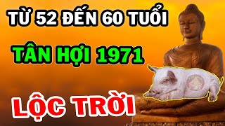 Tử Vi 2022 Tân Hợi 1971 Đứa Con Cưng Được Phật Trời Ưu Ái, Tiền Nhét Nứt Két Hậu Vận Cực Giàu