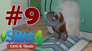 Köpeklerimiz Klinikte | The Sims 4 Cats & Dogs #9