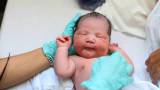 Gynaecology - ANTH