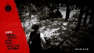 Red Dead Redemption 2 - "Визит вежливости" как получить золотую медаль