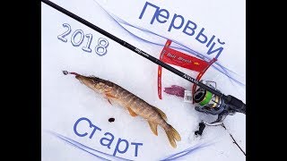 Чемпионат города Кострома по ловле рыбы спиннингом с берега.