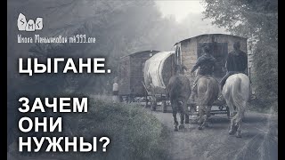Цыгане. Зачем они нужны- Продолжение разговора
