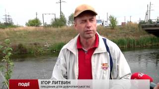 До Дня Добротвора енергетики прибирали місто