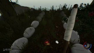 The forest 0.38 -  Каменные дорожки, улучшенная крыша, пещерный баланс , лунные циклы #38