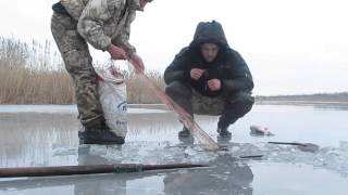 Зимняя рыбалка, снимаем сети, толстолоб, раки.  fishing with nets. video