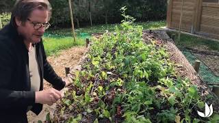 Permaculture : plantations sur butte forestière (2/5) - Jardinerie Truffaut TV