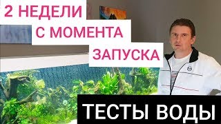 Тесты воды, две недели с момента запуска. Аквариум 250×60×50 на 750 л, своими руками. Часть 21