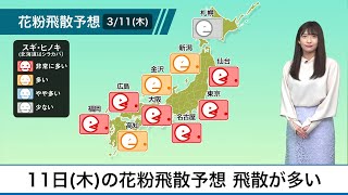 3月11日(木)の花粉飛散予想
