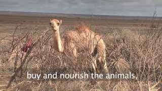 Ethiopian pastoralists adapt to climate change