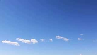 видео футаж НЕБО весной , пение птиц. Nature.Free footage.