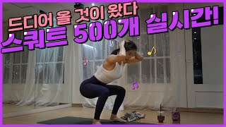 스쿼트 500개 챌린지! ? 아르기맥스 액티브 먹고 땀폭발!!! ? [효니홈트]