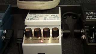Boss TE-2 Tera Echo pedal - Freeze Function