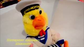 Музыкальная игрушка Цыпленок моряк - вторая песня