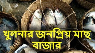 Famous Fish Market In Khulna | Lots Of Fresh Country Fishes Available