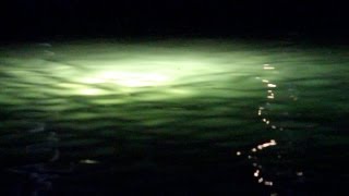 Dock Light Snook Fishing