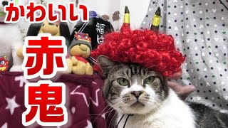 猫に鬼役やってもらうとこうなります☆ねこと節分☆超強力豆まきバズーカー登場にリキちゃんタジタジ？？【リキちゃんねる・猫動画】Cat video　キジトラ白猫の居る暮らし