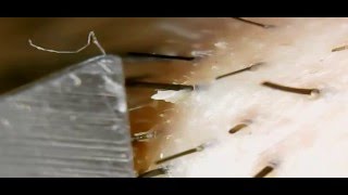 Pulling the hair from his beard with tweezers (удаление бороды пинцетом)