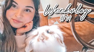 WIJ HEBBEN EEN HUISDIER GEKOCHT! | Weekvlog #14 | Brittany Elizabeth