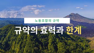 [노동법 판례 핸드북] 노동조합 규약의 효력과 한계