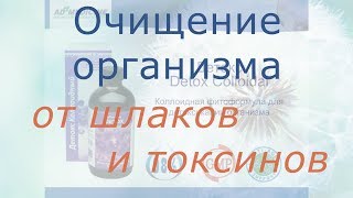 Очищение организма от шлаков и токсинов