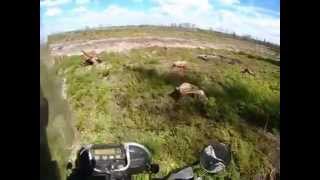 Лучшие эндуро мотоциклы - Honda XR 250 Baja