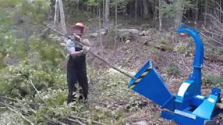 #78 Kubota B2601 Compact Tractor STIHL MS251 BECO WoodChipper:  Maple Hat Trick. outdoor channel.