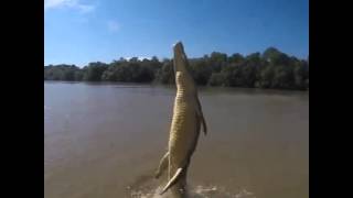 PESCANDO COCODRILOS RELAJADO SERA EN EL RIO CINARUCO ?      PEEM ENDER EVENTOS