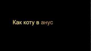 Как вставить карандаш коту в анус
