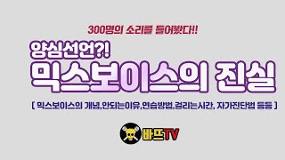 믹스보이스의 모든것?!