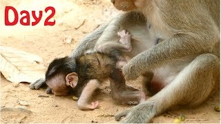 Update Mom Duchess Why She Drop Newborn Baby Down On The Ground Until Cry Like This? Newborn Baby.