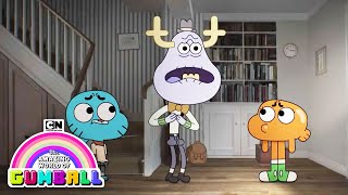 The Amazing World of Gumball | Gary Hedges | Cartoon Network
