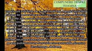 Compunere despre toamna