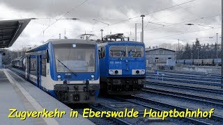 Eisenbahnverkehr in Eberswalde Hauptbahnhof - BR155 BR101 BR646 & mehr