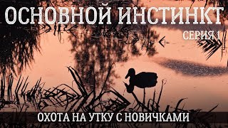 Основной инстинкт. Охота на утку с новичками #1