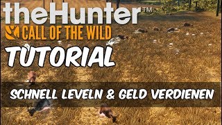 theHunter Call of the Wild Tutorial - Schnell leveln & Geld verdienen mit der Ansitzjagd